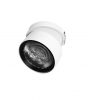 TRILUM ARCH EYE semi R round