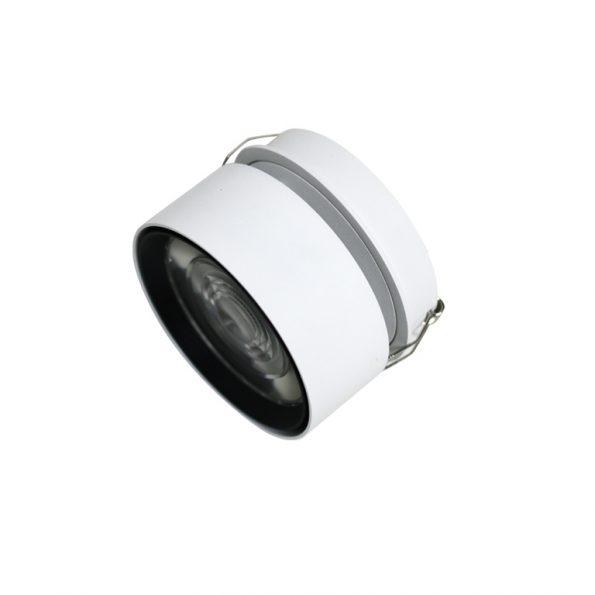 TRILUM ARCH EYE semi R round